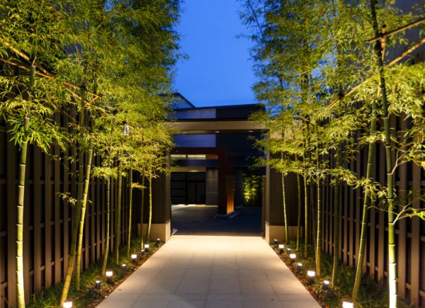 Bamboo,decoration,beside,walk,path
